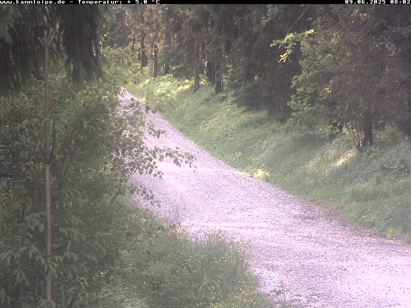 Webcam Weitersglashütte 1