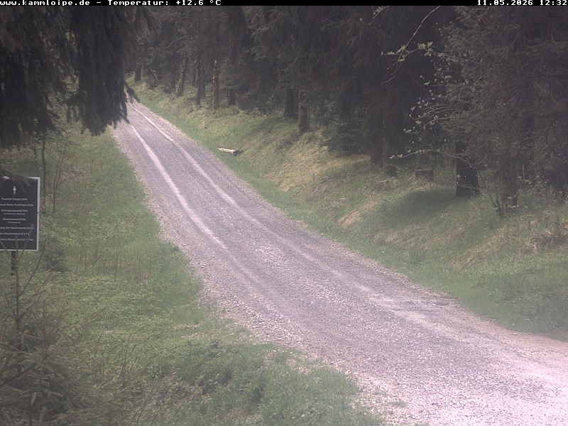 Webcam Weitersglashütte 1
