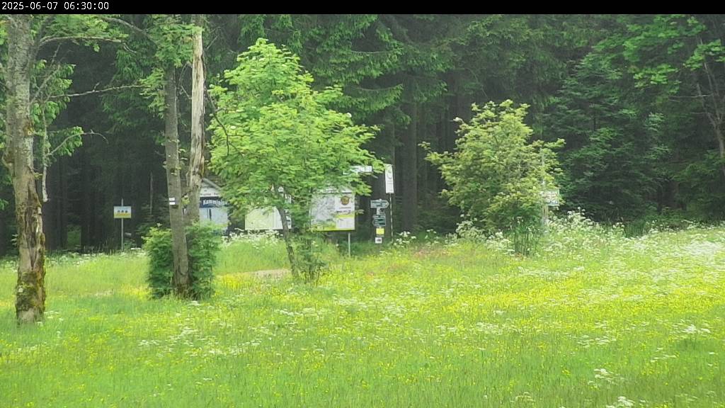 Webcam Johanngeorgenstadt