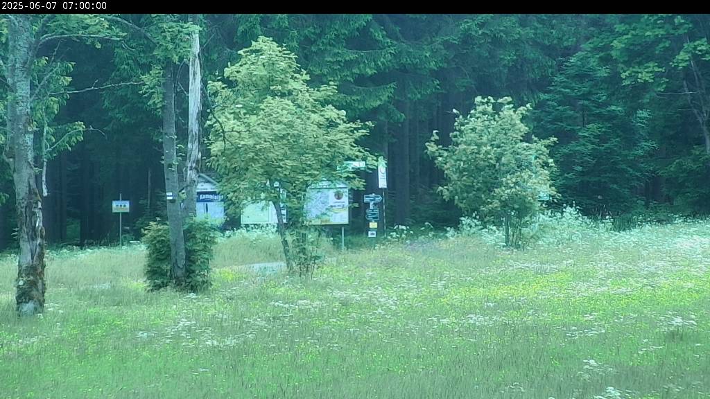Webcam Johanngeorgenstadt