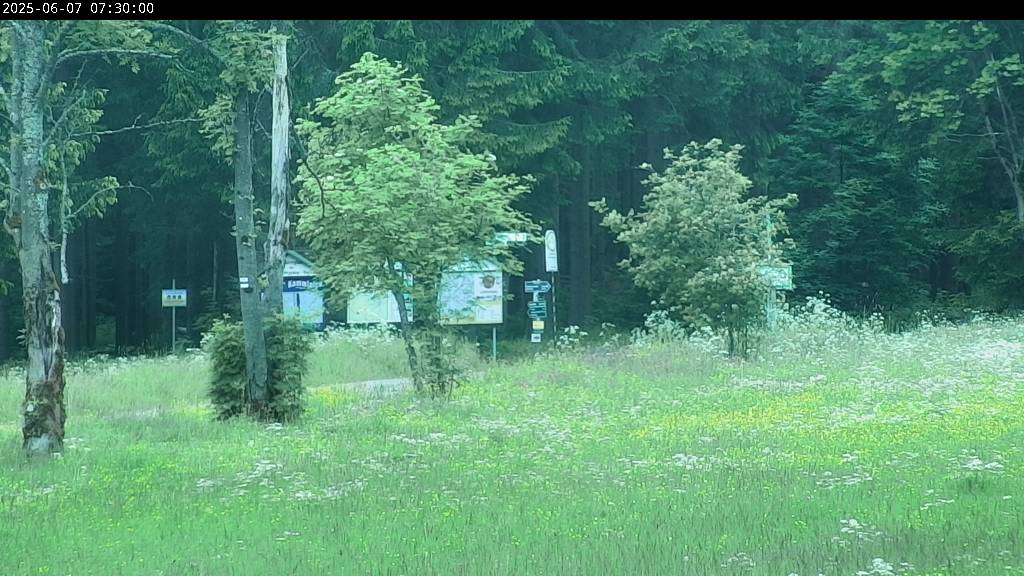 Webcam Johanngeorgenstadt