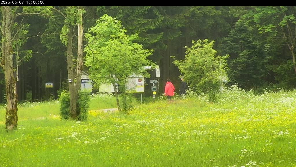 Webcam Johanngeorgenstadt