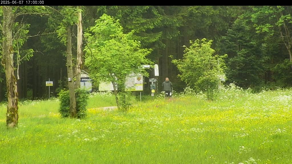 Webcam Johanngeorgenstadt