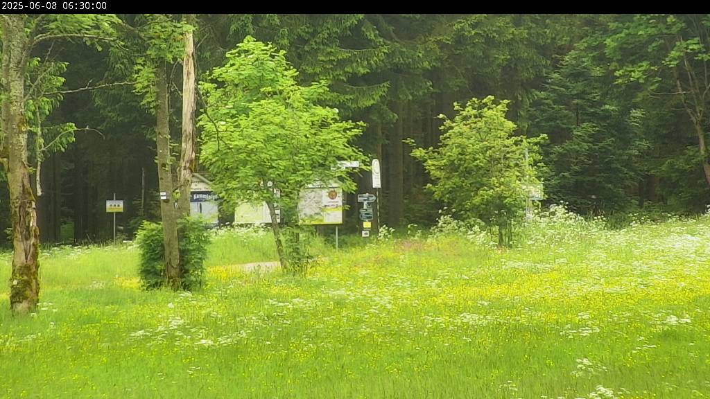 Webcam Johanngeorgenstadt