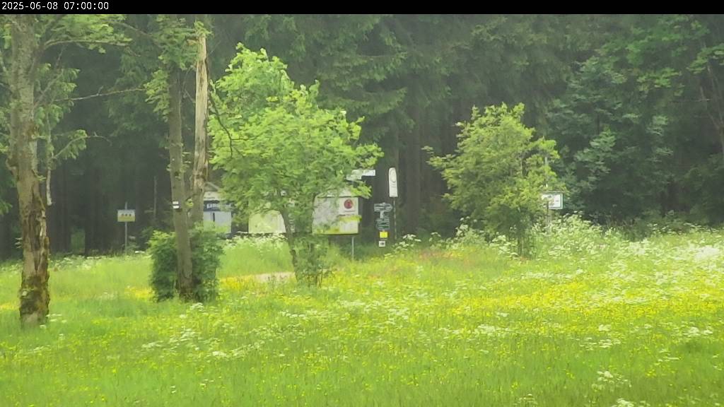Webcam Johanngeorgenstadt