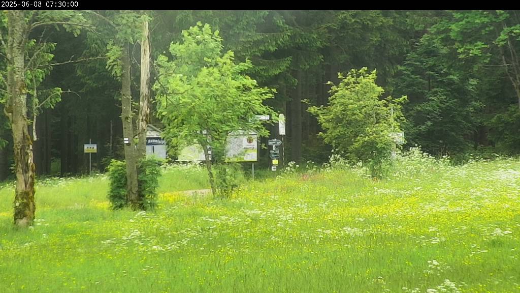 Webcam Johanngeorgenstadt