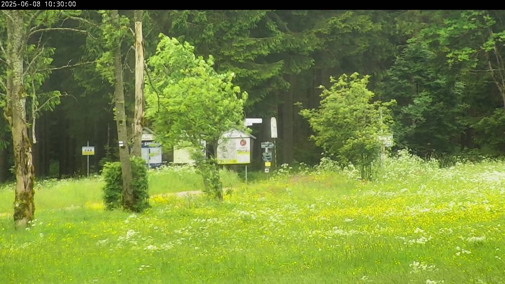 Webcam Johanngeorgenstadt