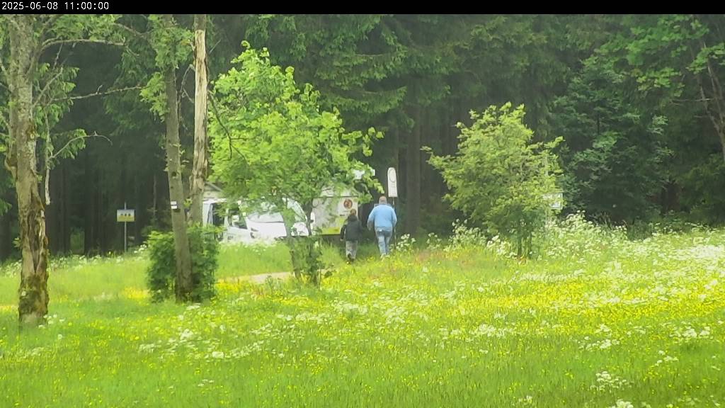 Webcam Johanngeorgenstadt