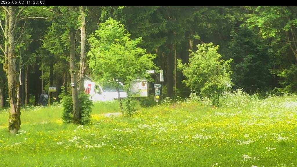 Webcam Johanngeorgenstadt