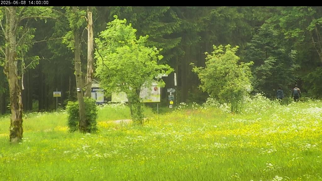 Webcam Johanngeorgenstadt