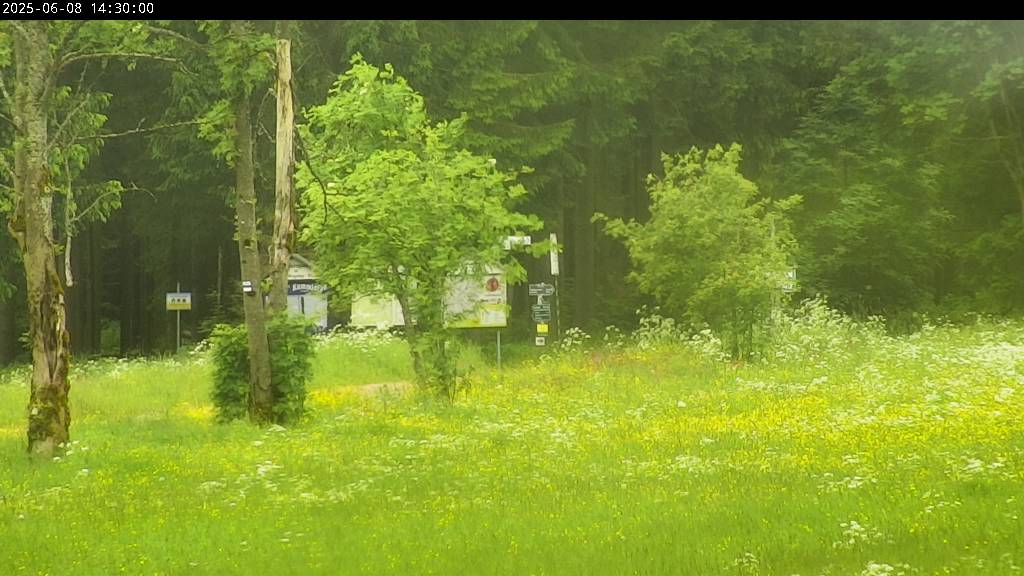 Webcam Johanngeorgenstadt