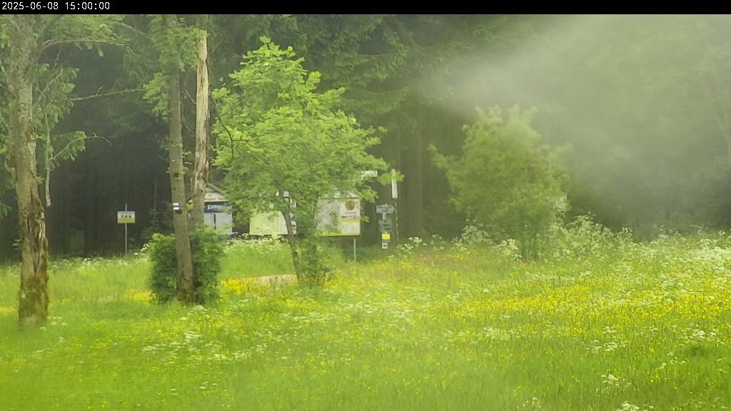 Webcam Johanngeorgenstadt