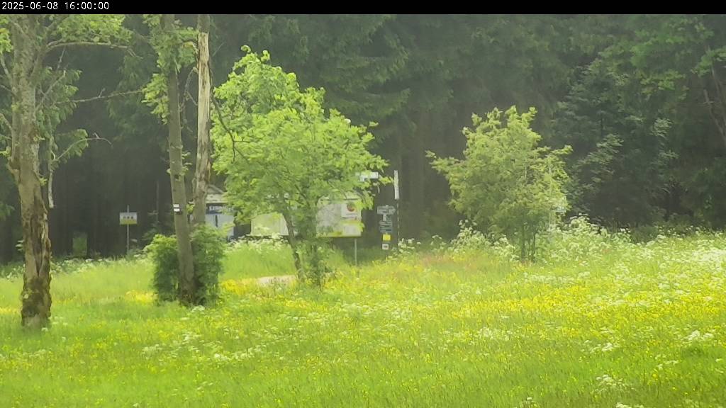 Webcam Johanngeorgenstadt