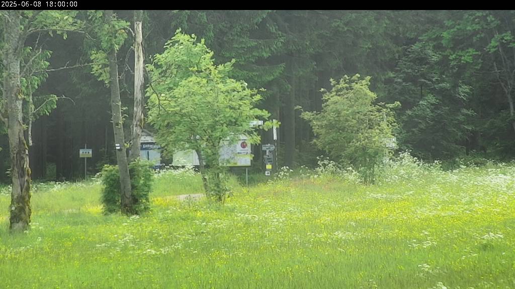 Webcam Johanngeorgenstadt