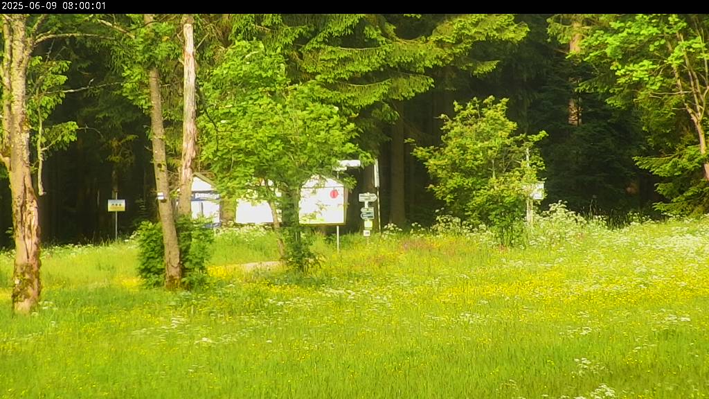 Webcam Johanngeorgenstadt