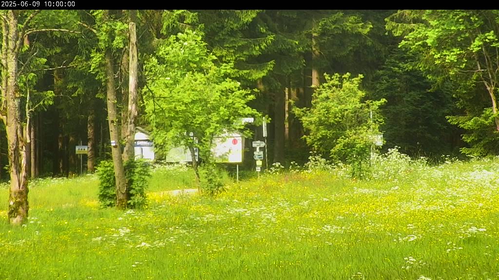 Webcam Johanngeorgenstadt
