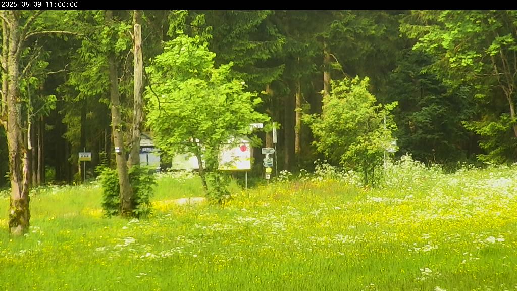 Webcam Johanngeorgenstadt
