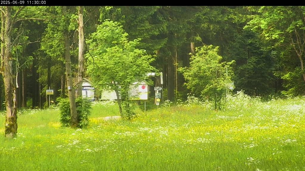 Webcam Johanngeorgenstadt