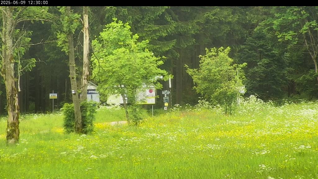 Webcam Johanngeorgenstadt
