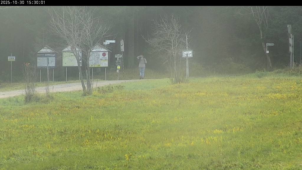 Webcam Johanngeorgenstadt