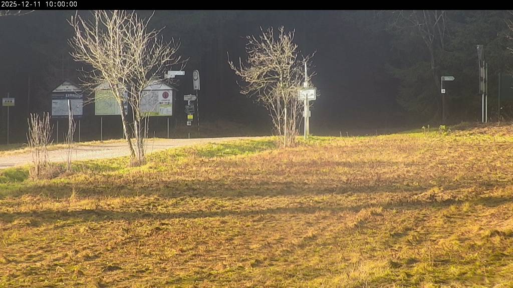 Webcam Johanngeorgenstadt