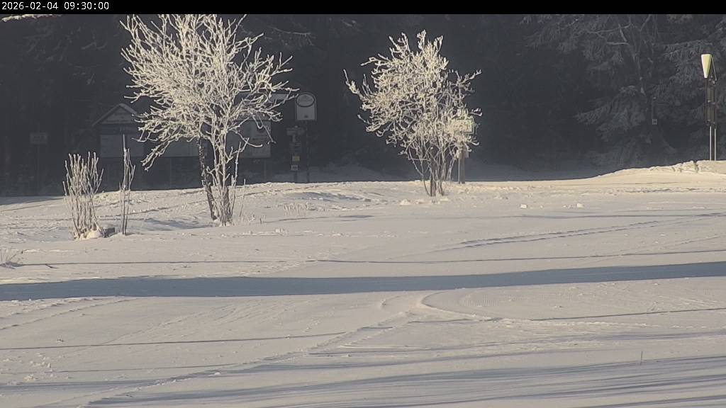 Webcam Johanngeorgenstadt