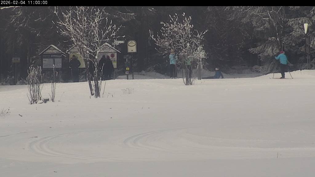 Webcam Johanngeorgenstadt