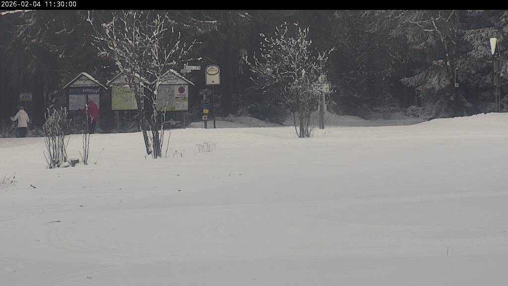 Webcam Johanngeorgenstadt