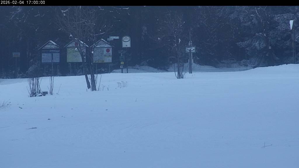 Webcam Johanngeorgenstadt