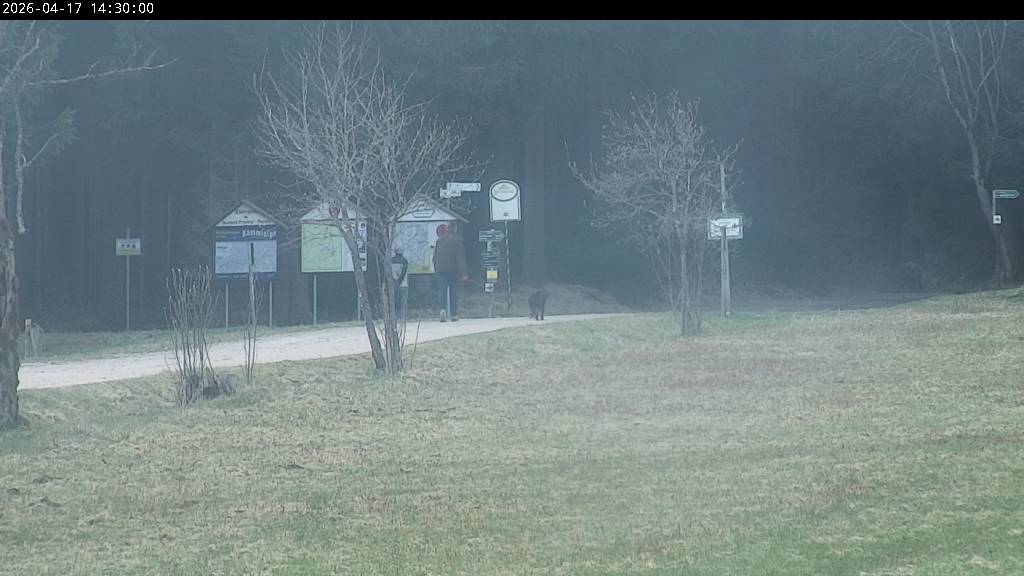 Webcam Johanngeorgenstadt