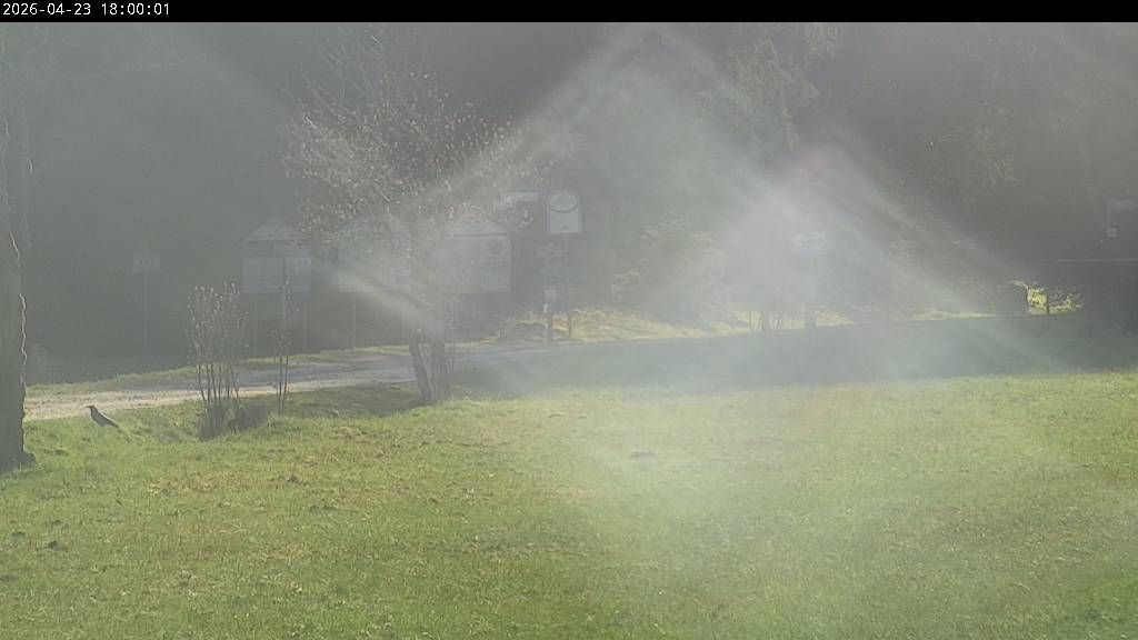 Webcam Johanngeorgenstadt