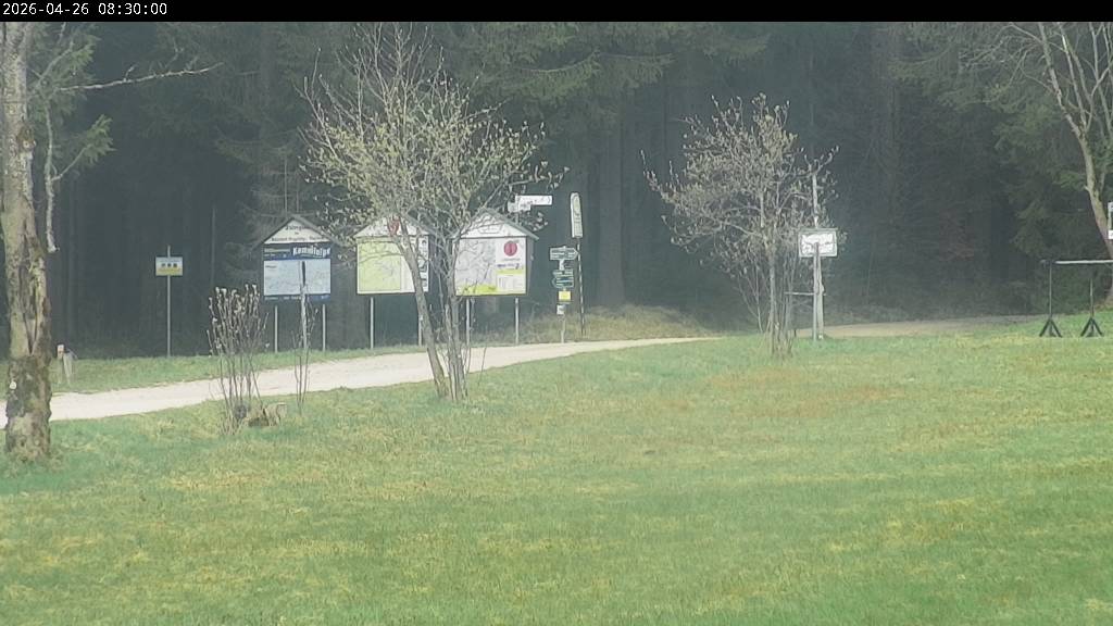 Webcam Johanngeorgenstadt