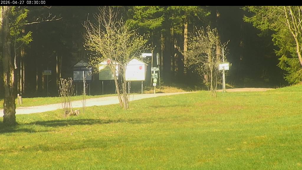 Webcam Johanngeorgenstadt