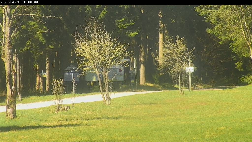 Webcam Johanngeorgenstadt