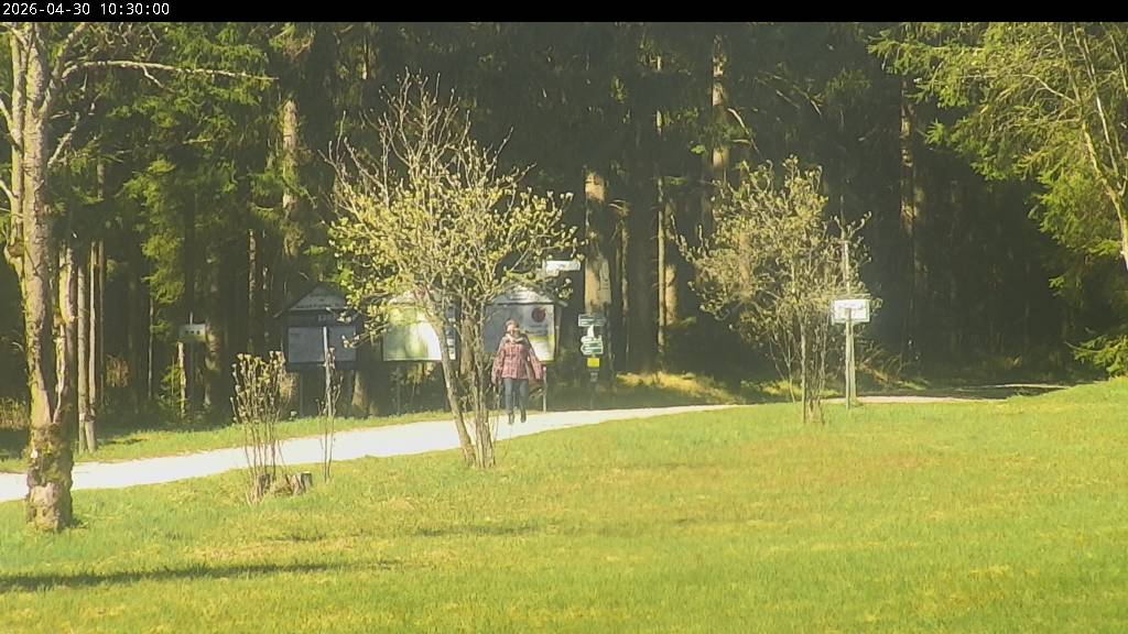 Webcam Johanngeorgenstadt