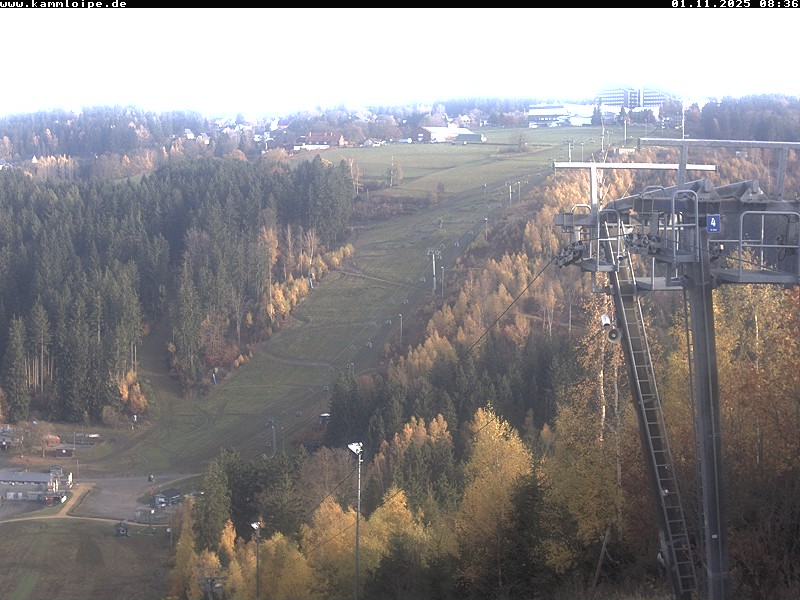 Webcam Schöneck Streugrün