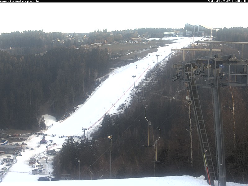 Webcam Schöneck Streugrün