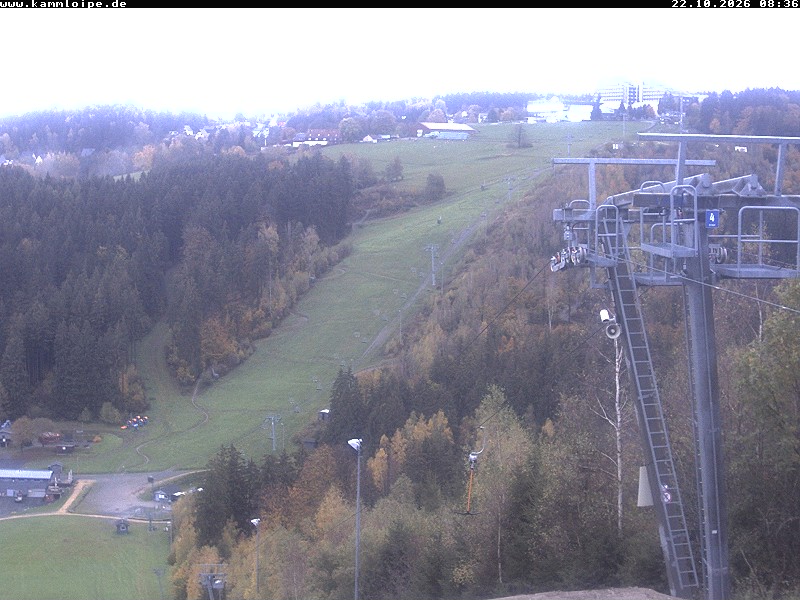 Webcam Schöneck Streugrün