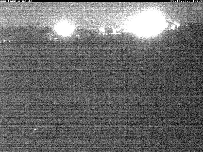 Webcam Schöneck Streugrün