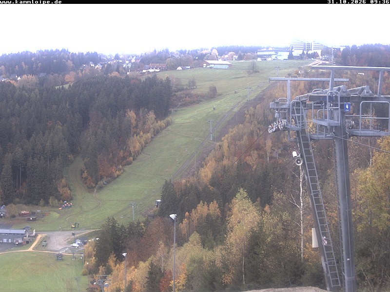 Webcam Schöneck Streugrün