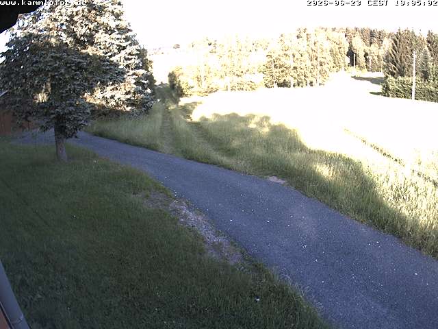 Webcam Hammerbrücke