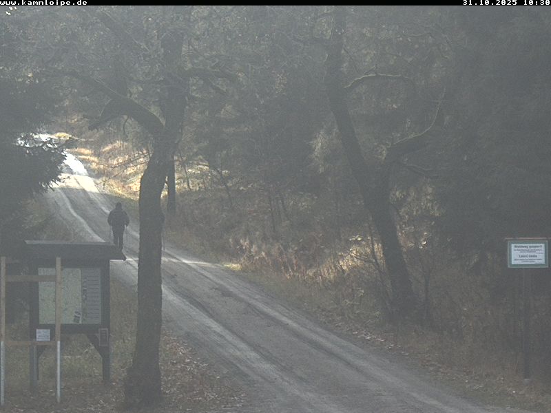 Webcam Weitersglashütte 2 Webcam Weitersglashütte 2