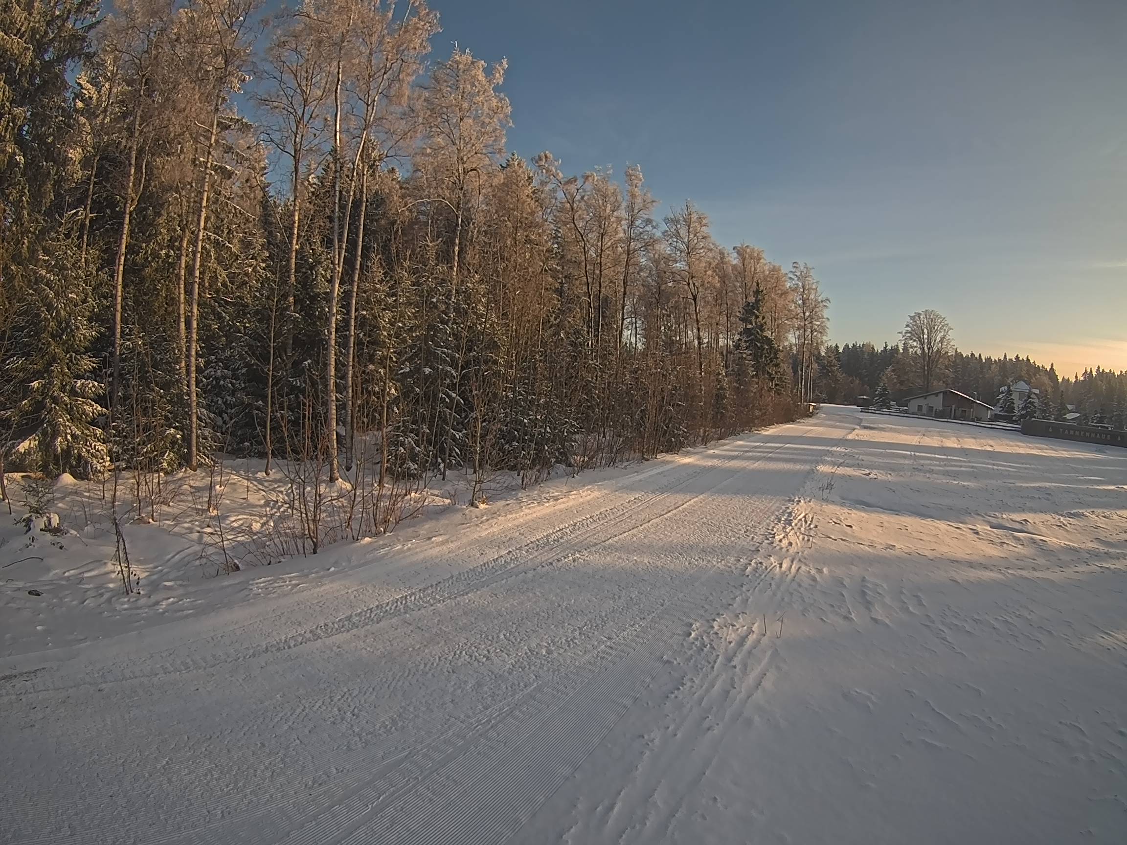 Webcam Schöneck Bogen