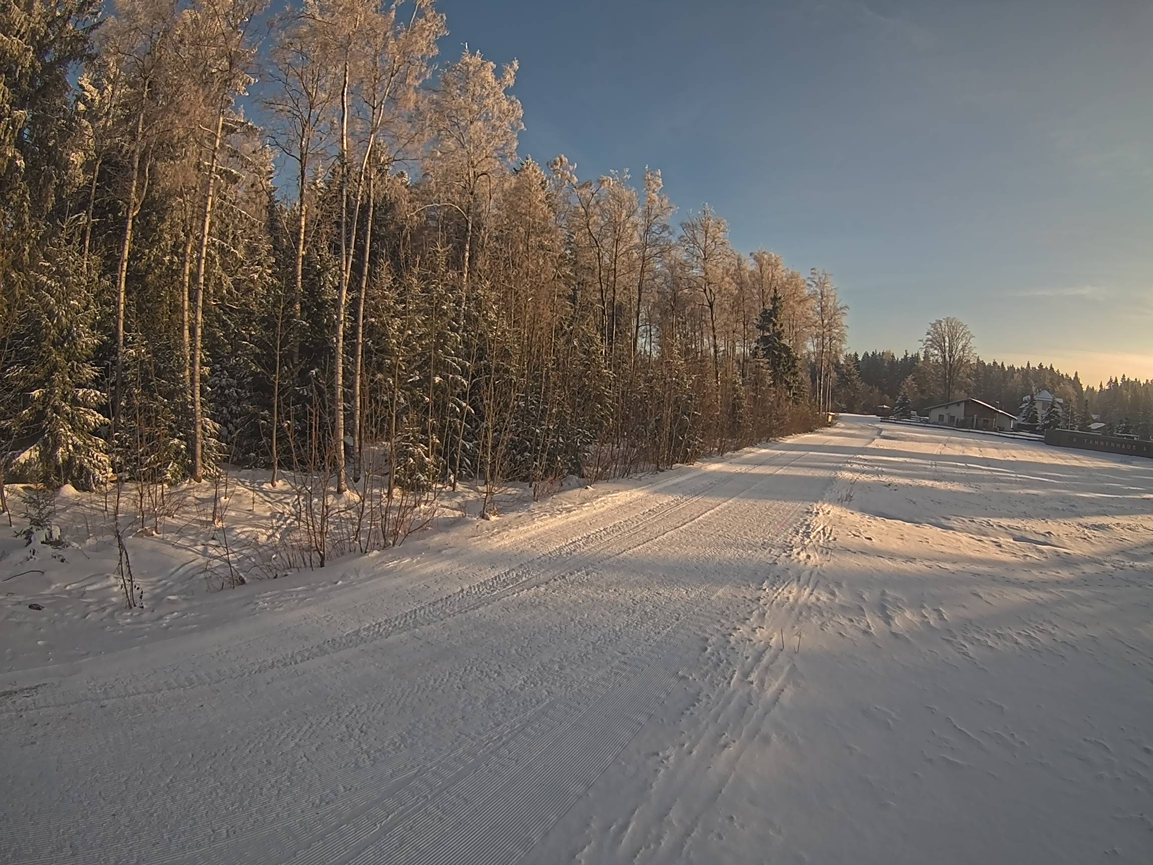 Webcam Schöneck Bogen