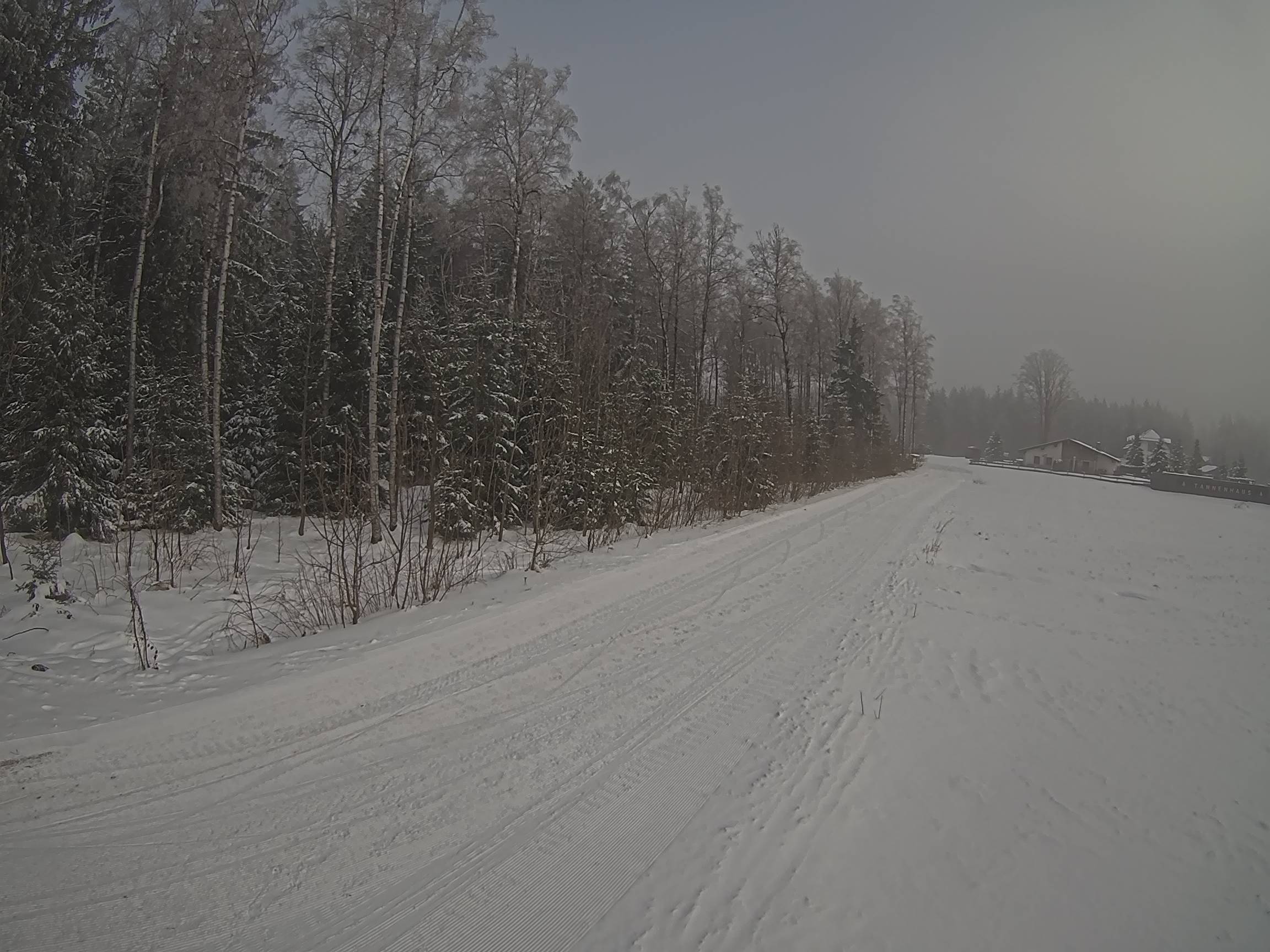 Webcam Schöneck Bogen