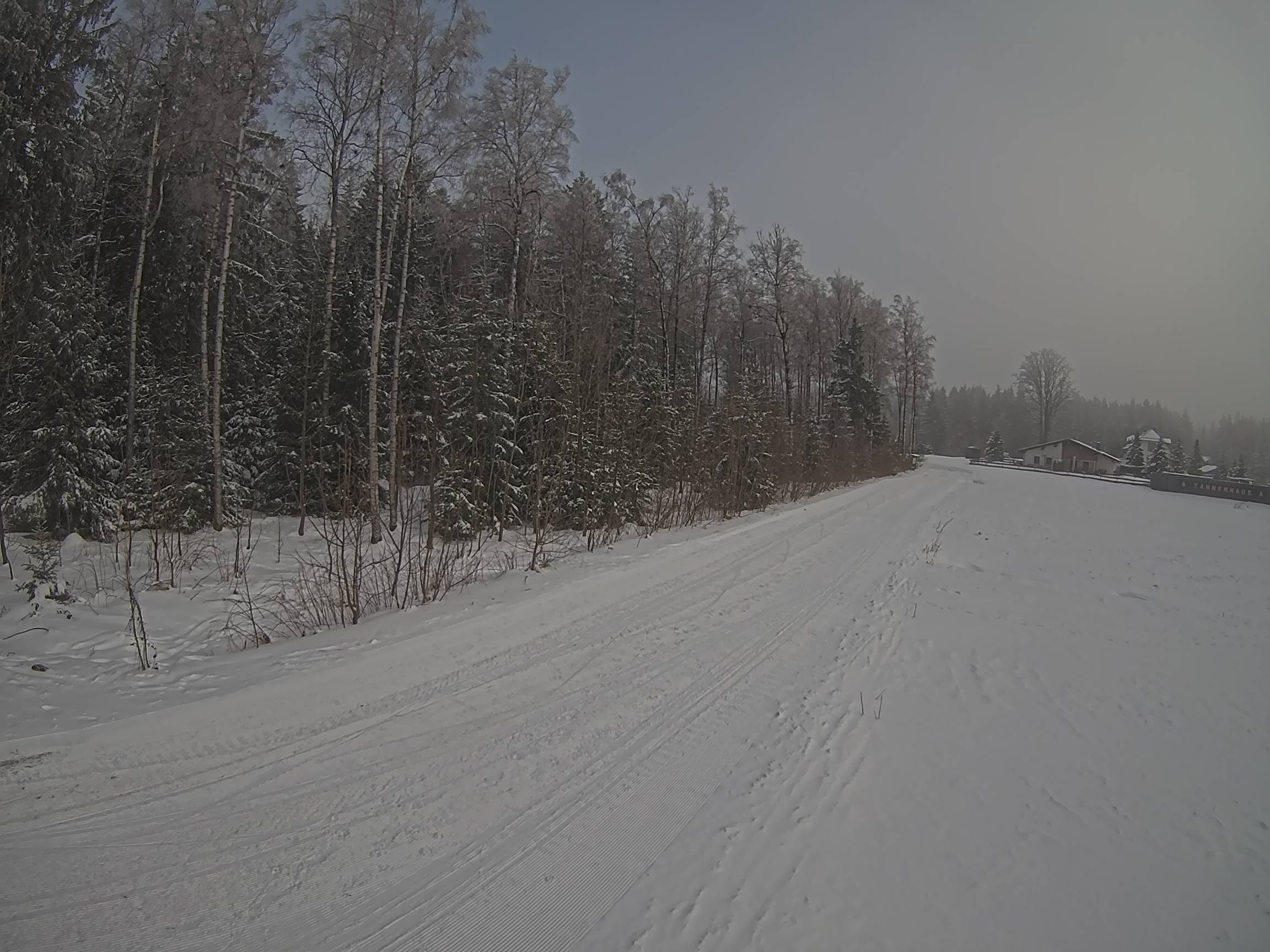Webcam Schöneck Bogen