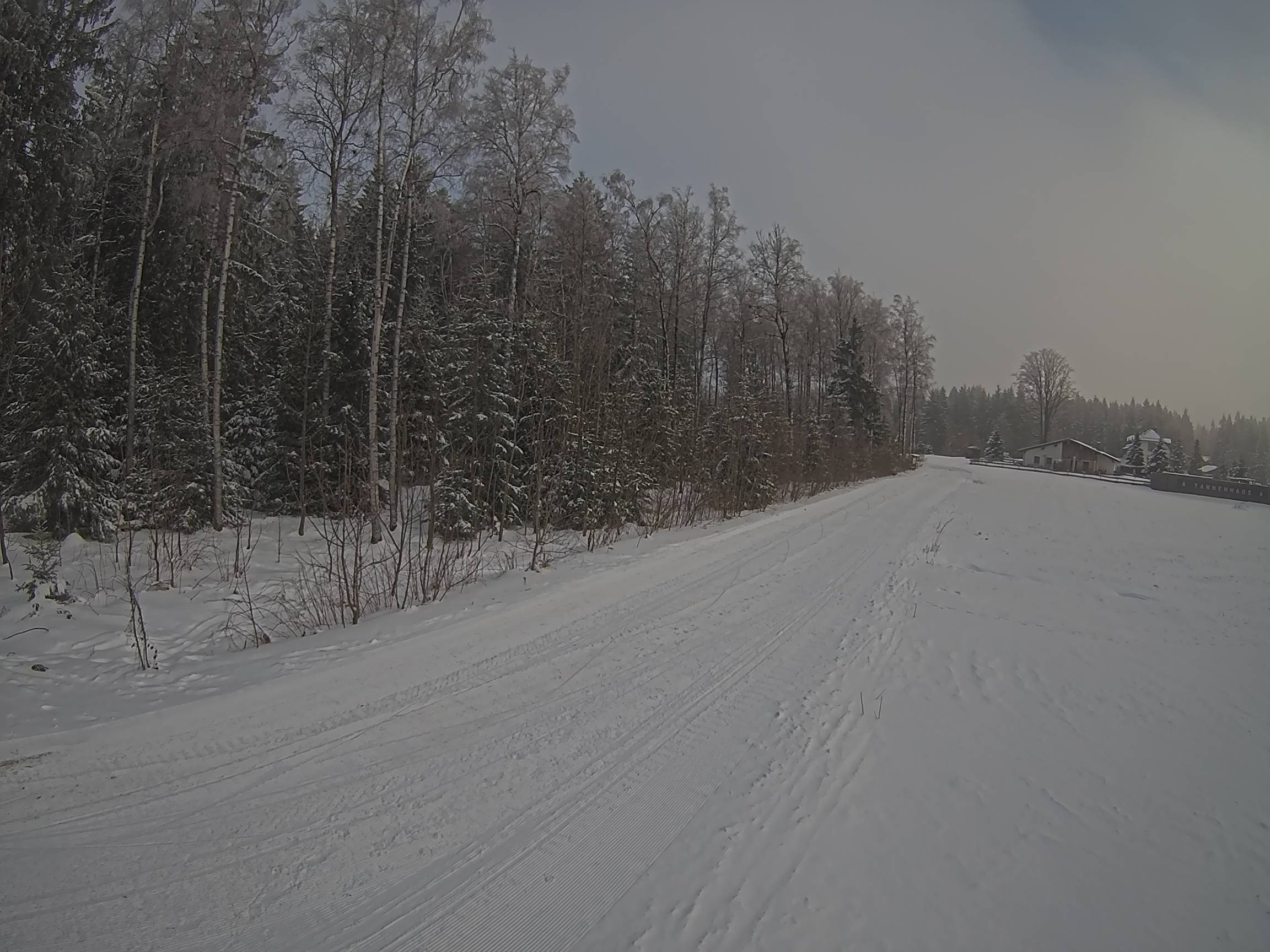 Webcam Schöneck Bogen