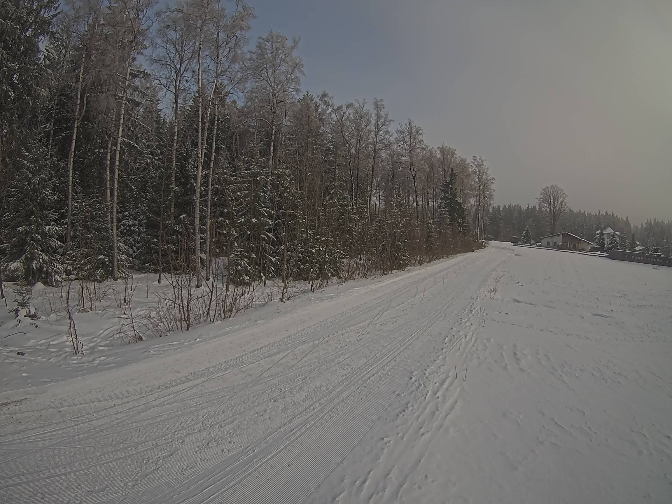 Webcam Schöneck Bogen