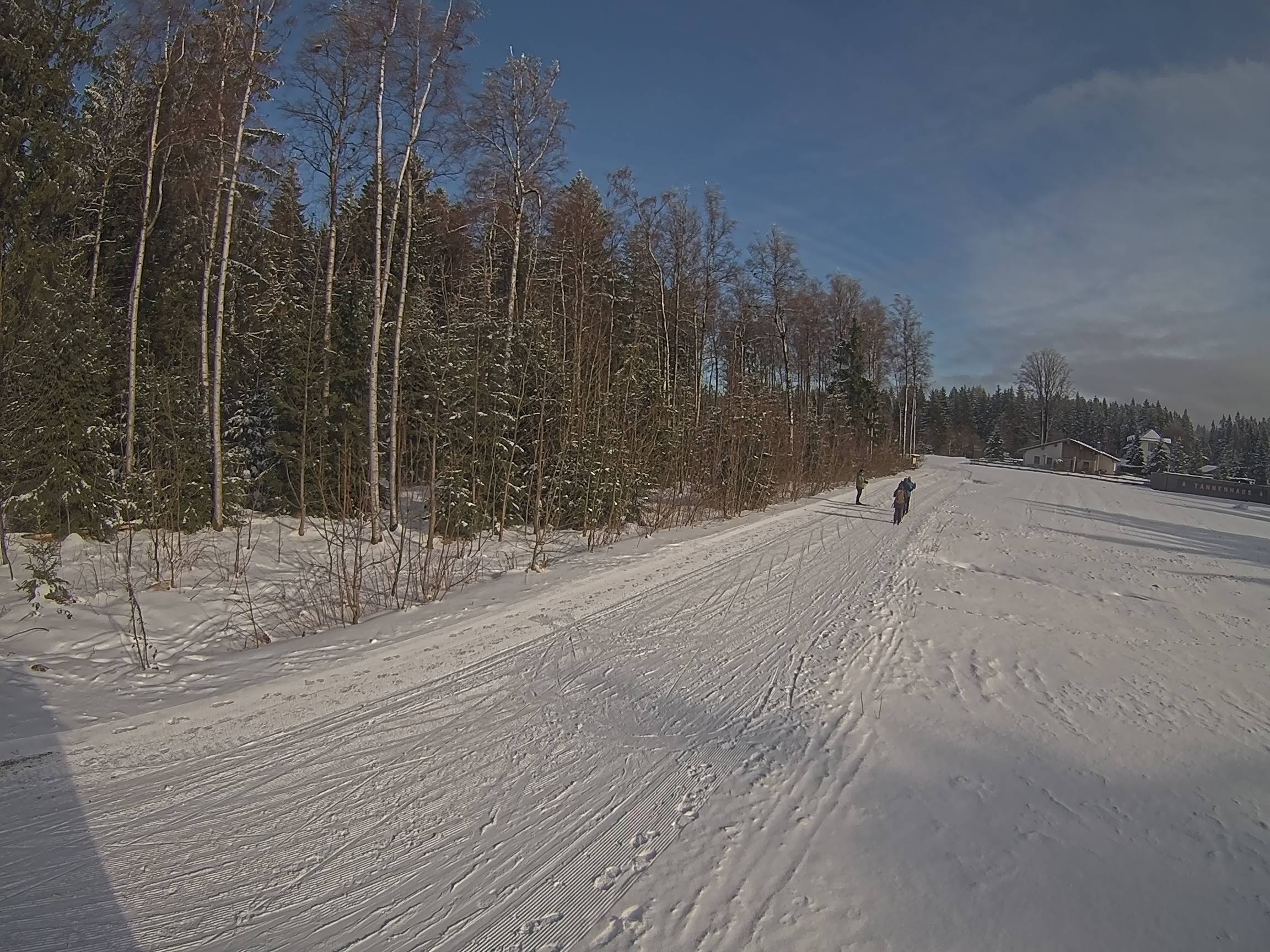 Webcam Schöneck Bogen