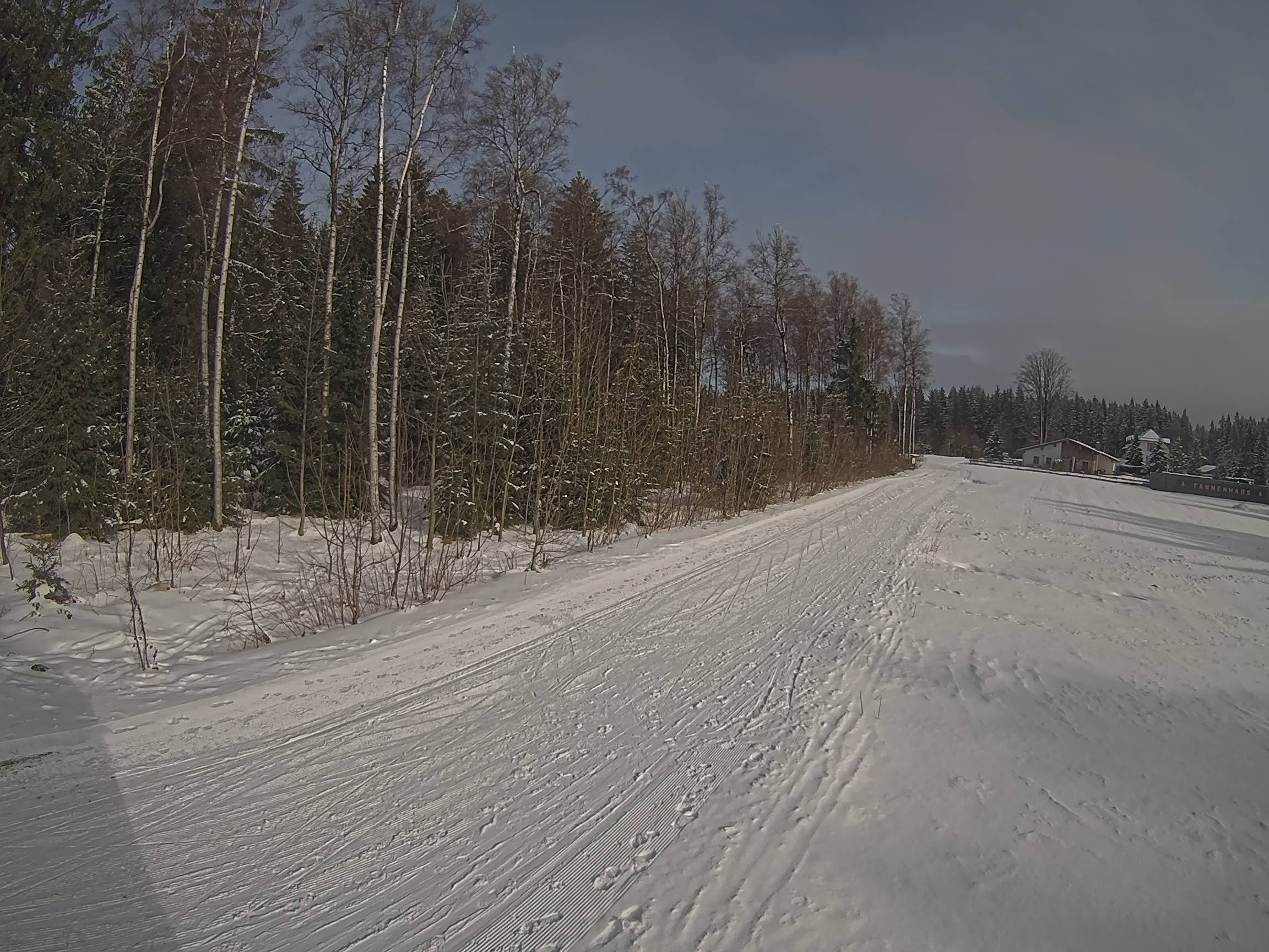 Webcam Schöneck Bogen